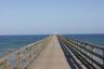 DSC01020.jpg
