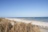 DSC01021.jpg