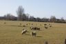DSC01038.jpg
