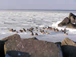 Winter an der Ostsee am Schönberger Strand